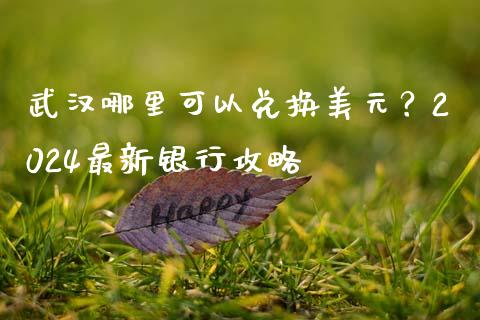 武汉哪里可以兑换美元？2024最新银行攻略_https://m.fsyjjx.cn_期货保证金计算_第1张