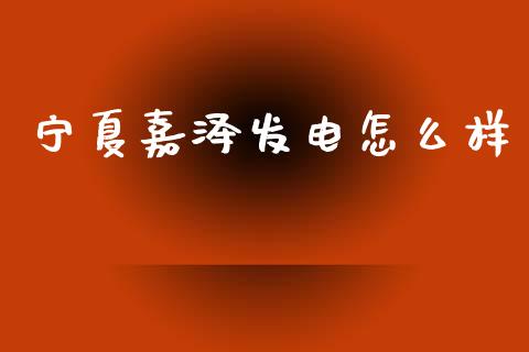 宁夏嘉泽发电怎么样_https://m.fsyjjx.cn_期货保证金_第1张
