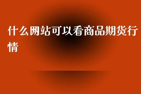 什么网站可以看商品期货行情_https://m.fsyjjx.cn_股指期货保证金_第1张