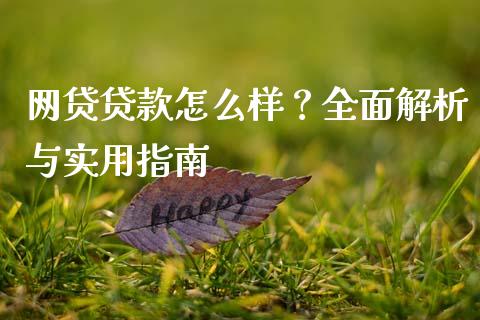 网贷贷款怎么样？全面解析与实用指南_https://m.fsyjjx.cn_期货如何开户_第1张