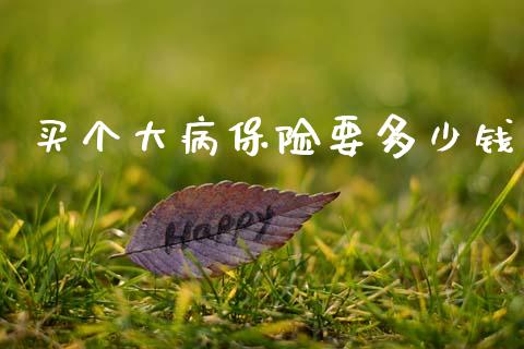 买个大病保险要多少钱_https://m.fsyjjx.cn_期货如何开户_第1张