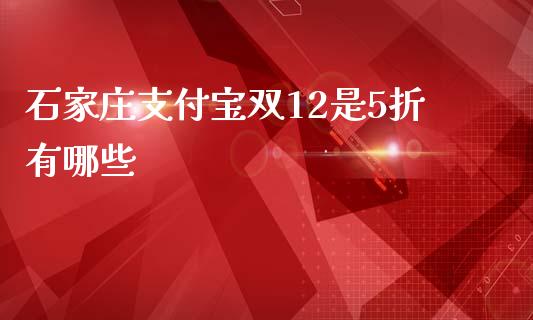石家庄支付宝双12是5折有哪些_https://m.fsyjjx.cn_期货如何开户_第1张