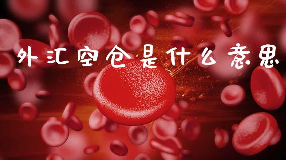 外汇空仓是什么意思_https://m.fsyjjx.cn_期货保证金计算_第1张