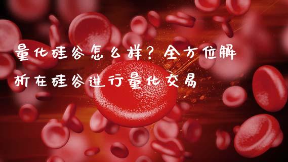 量化硅谷怎么样？全方位解析在硅谷进行量化交易_https://m.fsyjjx.cn_期货保证金计算_第1张