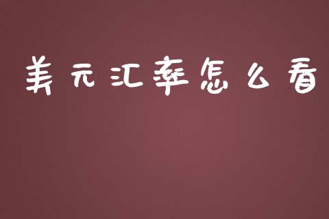 美元汇率怎么看_https://m.fsyjjx.cn_期货保证金计算_第1张