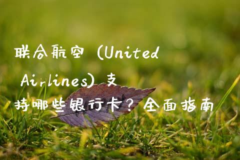 联合航空 (United Airlines) 支持哪些银行卡？全面指南_https://m.fsyjjx.cn_股指期货保证金_第1张