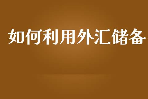 如何利用外汇储备_https://m.fsyjjx.cn_期货如何开户_第1张