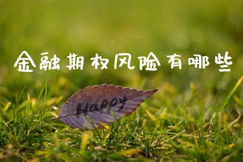 金融期权风险有哪些_https://m.fsyjjx.cn_期货保证金_第1张