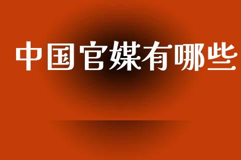 中国官媒有哪些_https://m.fsyjjx.cn_期货如何开户_第1张