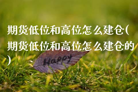 期货低位和高位怎么建仓(期货低位和高位怎么建仓的)_https://m.fsyjjx.cn_期货保证金_第1张