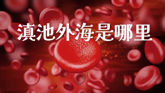 滇池外海是哪里_https://m.fsyjjx.cn_期货保证金_第1张