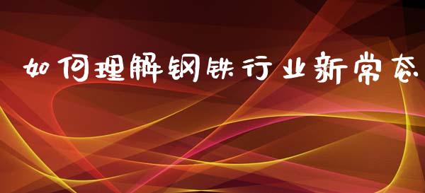 如何理解钢铁行业新常态_https://m.fsyjjx.cn_期货保证金计算_第1张