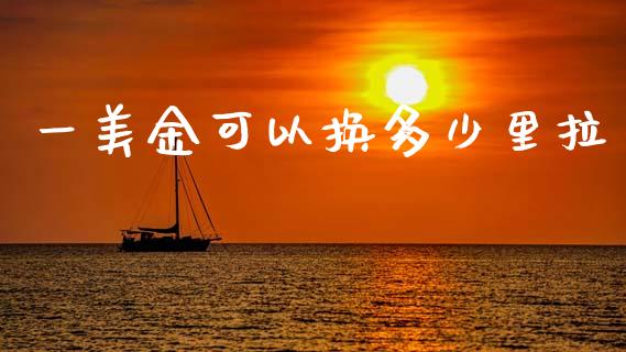 一美金可以换多少里拉_https://m.fsyjjx.cn_期货保证金_第1张