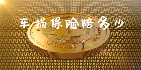 车损保险陪多少_https://m.fsyjjx.cn_股指期货保证金_第1张