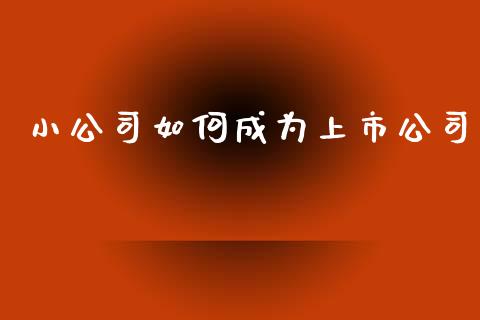 小公司如何成为上市公司_https://m.fsyjjx.cn_股指期货保证金_第1张