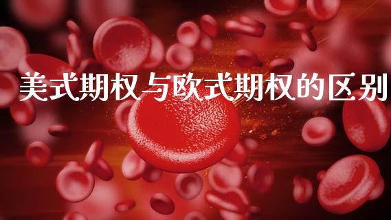 美式期权与欧式期权的区别_https://m.fsyjjx.cn_期货保证金计算_第1张