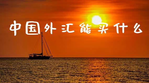 中国外汇能买什么_https://m.fsyjjx.cn_期货保证金_第1张