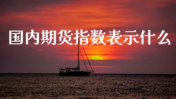 国内期货指数表示什么_https://m.fsyjjx.cn_股指期货保证金_第1张