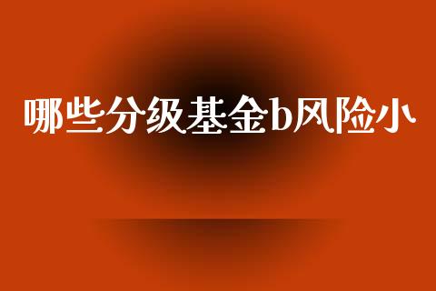 哪些分级基金b风险小_https://m.fsyjjx.cn_期货如何开户_第1张