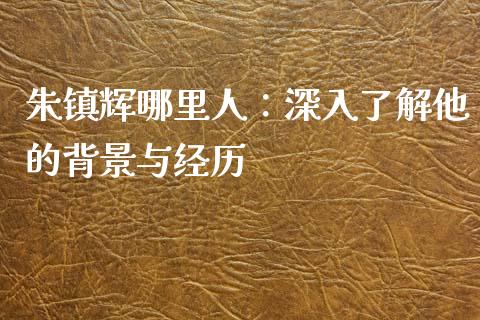 朱镇辉哪里人：深入了解他的背景与经历_https://m.fsyjjx.cn_期货如何开户_第1张