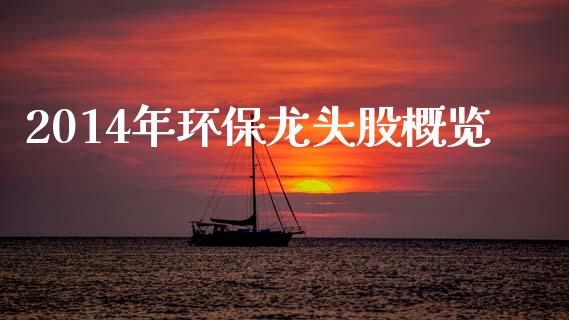 2014年环保龙头股概览_https://m.fsyjjx.cn_股指期货保证金_第1张