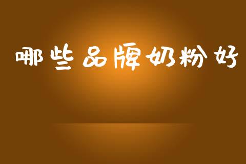 哪些品牌奶粉好_https://m.fsyjjx.cn_期货如何开户_第1张