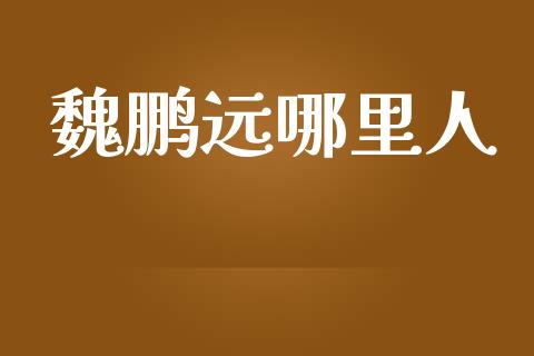 魏鹏远哪里人_https://m.fsyjjx.cn_期货保证金_第1张