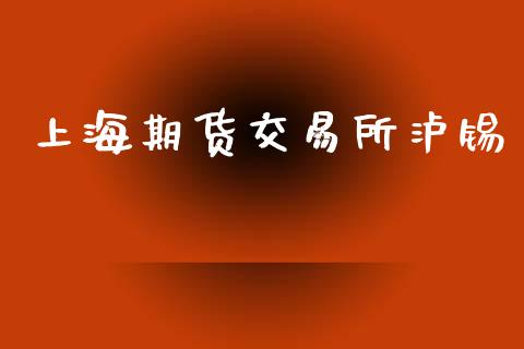 上海期货交易所泸锡_https://m.fsyjjx.cn_期货保证金计算_第1张