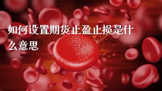 如何设置期货止盈止损是什么意思_期货保证金_第1张_期货如何开户_期货保证金_期货保证金计算_股指期货保证金 如何设置期货止盈止损是什么意思_https://m.fsyjjx.cn_期货保证金_第1张