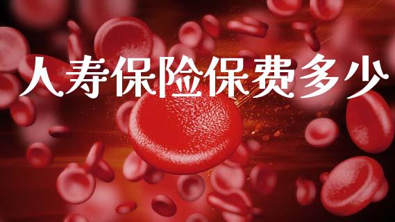 人寿保险保费多少_https://m.fsyjjx.cn_期货保证金_第1张