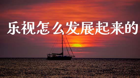 乐视怎么发展起来的_https://m.fsyjjx.cn_股指期货保证金_第1张