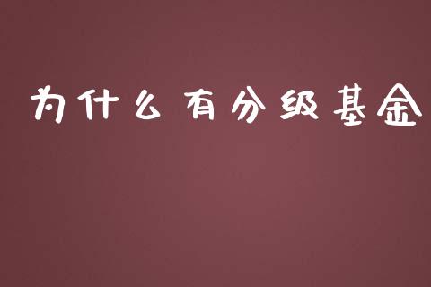 为什么有分级基金_https://m.fsyjjx.cn_期货保证金计算_第1张