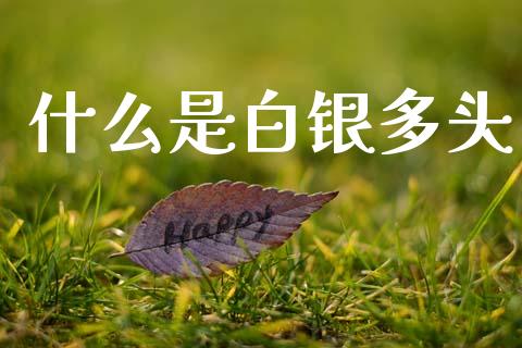 什么是白银多头_https://m.fsyjjx.cn_期货保证金_第1张