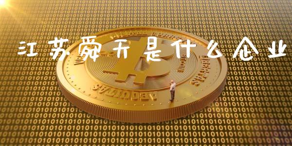 江苏舜天是什么企业_https://m.fsyjjx.cn_期货保证金_第1张