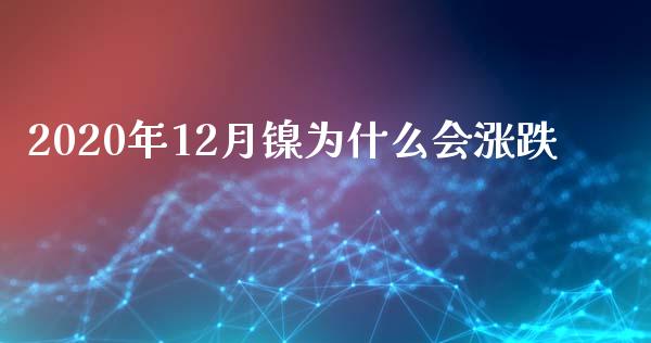 2020年12月镍为什么会涨跌_https://m.fsyjjx.cn_期货如何开户_第1张