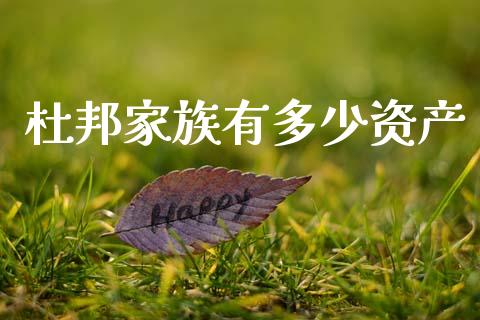 杜邦家族有多少资产_https://m.fsyjjx.cn_期货保证金计算_第1张