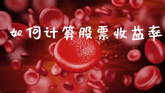 如何计算股票收益率_https://m.fsyjjx.cn_期货保证金计算_第1张