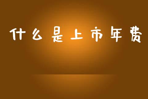 什么是上市年费_https://m.fsyjjx.cn_期货保证金_第1张