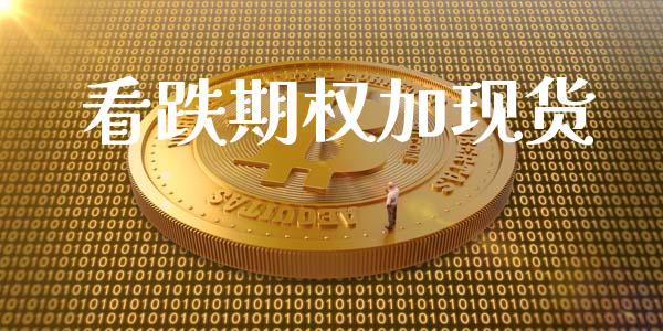 看跌期权加现货_https://m.fsyjjx.cn_期货保证金计算_第1张