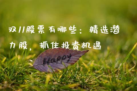 双11股票有哪些：精选潜力股，抓住投资机遇_https://m.fsyjjx.cn_期货保证金计算_第1张