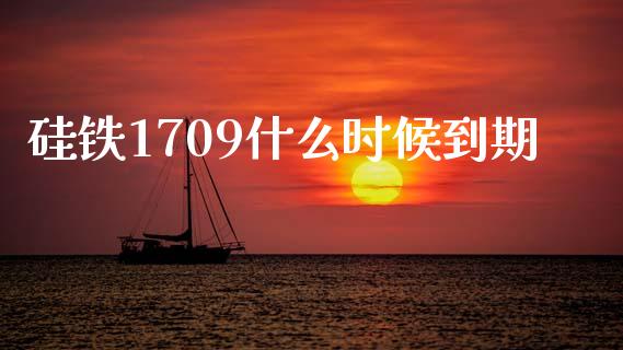 硅铁1709什么时候到期_期货保证金_第1张_期货如何开户_期货保证金_期货保证金计算_股指期货保证金 硅铁1709什么时候到期_https://m.fsyjjx.cn_期货保证金_第1张
