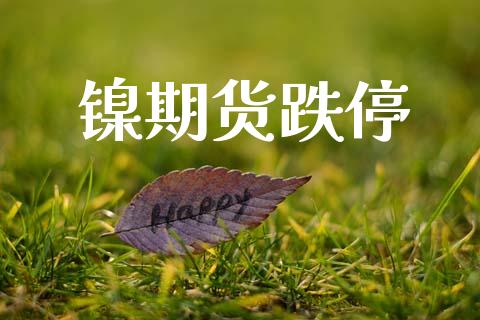 镍期货跌停_https://m.fsyjjx.cn_股指期货保证金_第1张