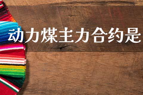 动力煤主力合约是_https://m.fsyjjx.cn_期货保证金计算_第1张