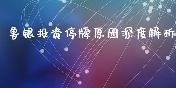 鲁银投资停牌原因深度解析_https://m.fsyjjx.cn_股指期货保证金_第1张
