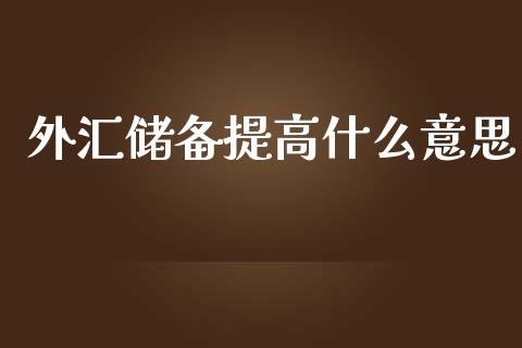 外汇储备提高什么意思_https://m.fsyjjx.cn_股指期货保证金_第1张