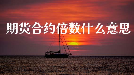 期货合约倍数什么意思_https://m.fsyjjx.cn_股指期货保证金_第1张