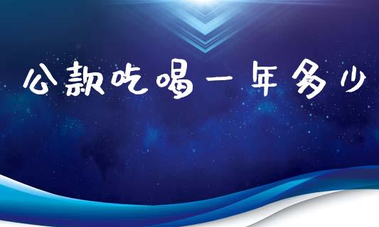 公款吃喝一年多少_https://m.fsyjjx.cn_期货保证金计算_第1张