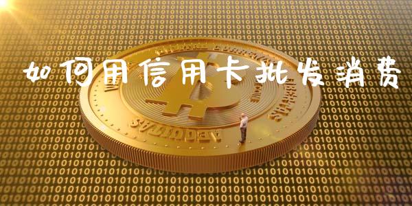 如何用信用卡批发消费_https://m.fsyjjx.cn_股指期货保证金_第1张