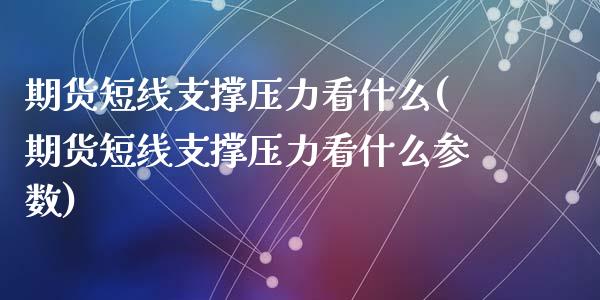 期货短线支撑压力看什么(期货短线支撑压力看什么参数)_https://m.fsyjjx.cn_期货保证金_第1张