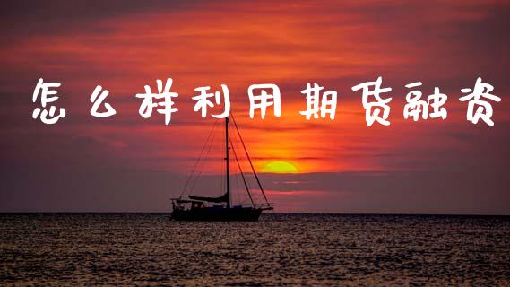 怎么样利用期货融资_https://m.fsyjjx.cn_股指期货保证金_第1张